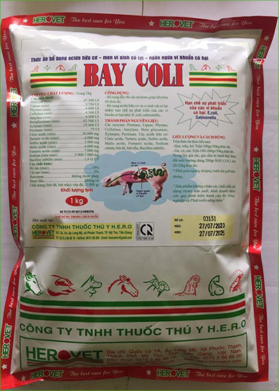 Bay Coli